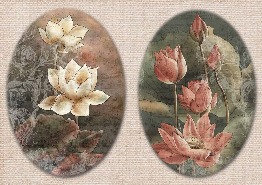 Dainty and the Queen - Lotus - Decoupage Paper - A4