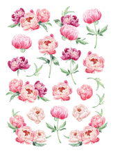 Load image into Gallery viewer, Spring Peonies Rub-on Transfer
